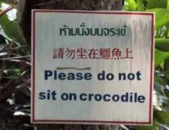 Please do not sit on crocodile.